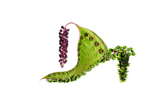 0ef35bacde3a2a6d83f86924bc9267f11340924377