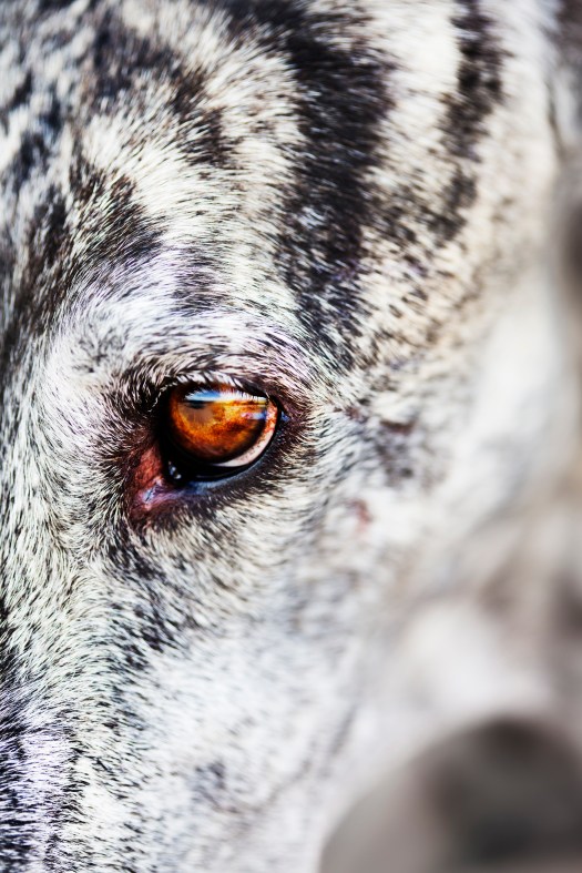 Leftovers media copyright Heidi Strengell 2015