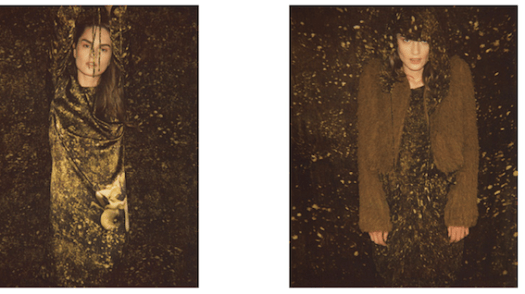 christian-wijnants-aw-10-4